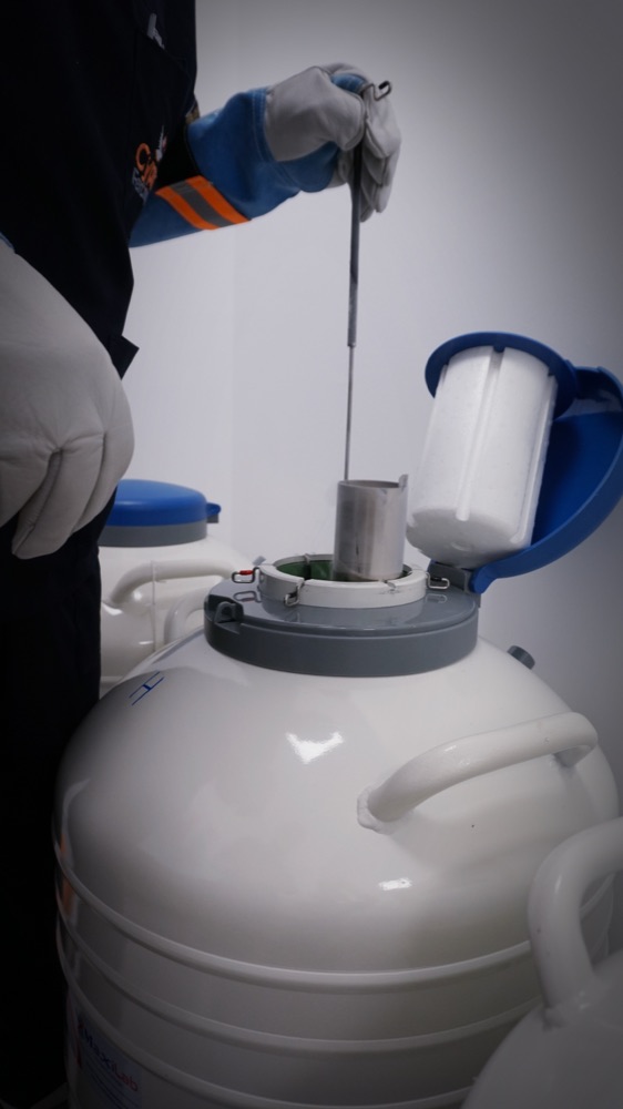 Conservation cryogénique des embryons