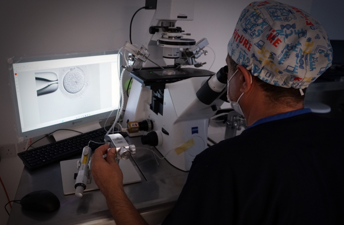 Embryon au microscope sur l'écran du laboratoire