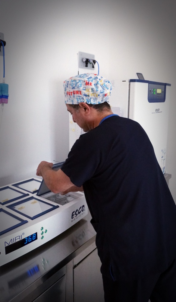 L'embryologiste chargeant les plateaux d'incubation