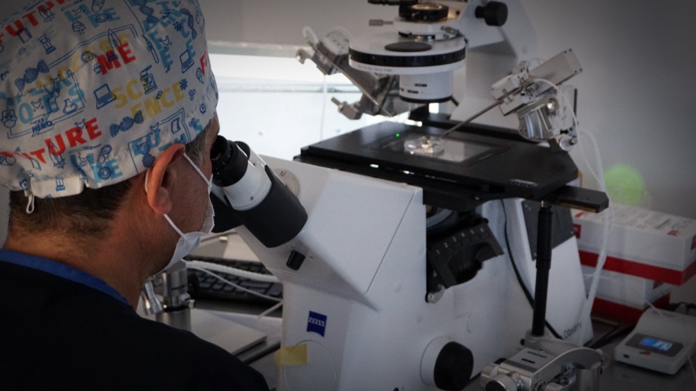 Microscope inversé et micromanipulateurs pour l'ICSI
